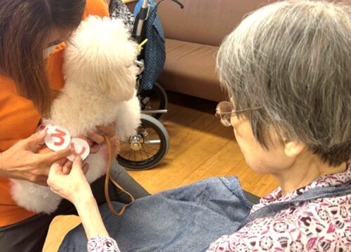 %e3%82%b9%e3%82%af%e3%83%aa%e3%83%bc%e3%83%b3%e3%82%b7%e3%83%a7%e3%83%83%e3%83%88-2025-08-23-124515