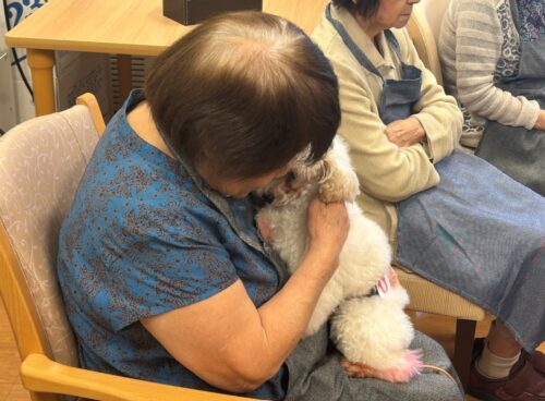 %e3%82%b9%e3%82%af%e3%83%aa%e3%83%bc%e3%83%b3%e3%82%b7%e3%83%a7%e3%83%83%e3%83%88-2025-08-23-124631