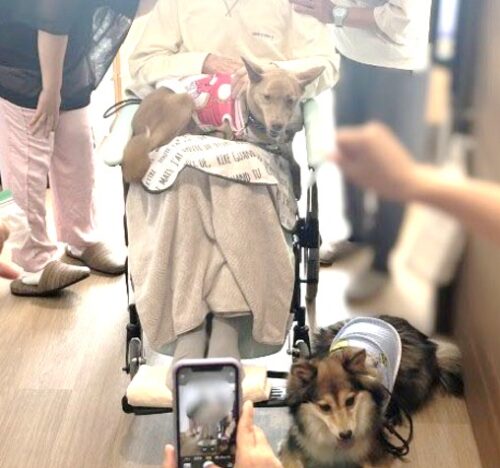 %e5%86%99%e7%9c%9f-2025-07-18-15-01-16