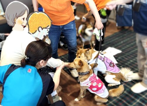 %e5%86%99%e7%9c%9f-2025-07-18-15-35-02