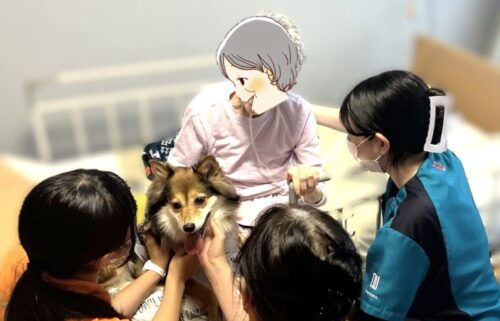 %e5%86%99%e7%9c%9f-2025-07-21-11-33-02-5