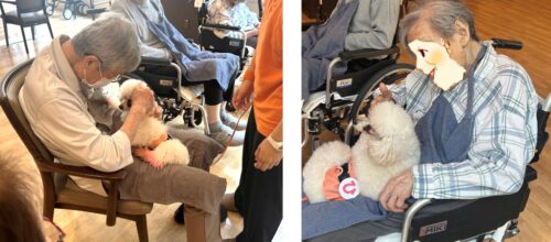 %e3%82%b9%e3%82%af%e3%83%aa%e3%83%bc%e3%83%b3%e3%82%b7%e3%83%a7%e3%83%83%e3%83%88-2025-08-23-155127