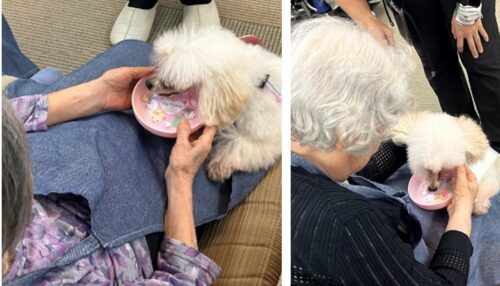 %e3%82%b9%e3%82%af%e3%83%aa%e3%83%bc%e3%83%b3%e3%82%b7%e3%83%a7%e3%83%83%e3%83%88-2025-12-09-155159