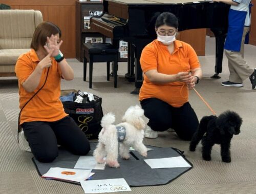 %e3%82%b9%e3%82%af%e3%83%aa%e3%83%bc%e3%83%b3%e3%82%b7%e3%83%a7%e3%83%83%e3%83%88-2025-12-09-155836