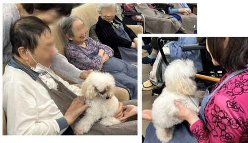 %e3%82%b9%e3%82%af%e3%83%aa%e3%83%bc%e3%83%b3%e3%82%b7%e3%83%a7%e3%83%83%e3%83%88-2025-12-09-162124